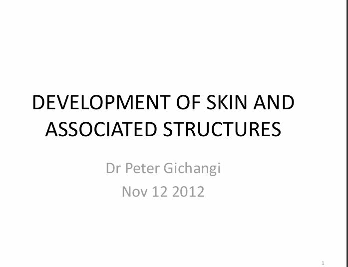 No preview available